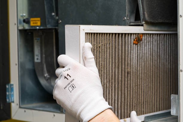 Best Affordable Duct Cleaning Services  in Granger, IN