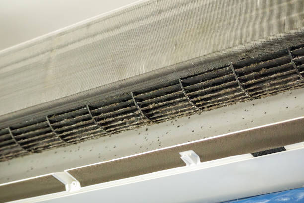 Best Dryer Vent Cleaning Services  in Granger, IN